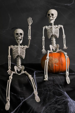Image of 2 X LARGE POSEABLE HUMAN SKELETON 64CM HALLOWEEN DECORATION