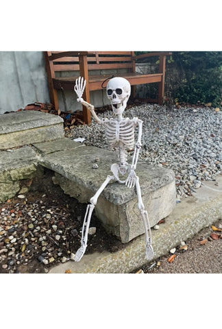 Image of 2 X LARGE POSEABLE HUMAN SKELETON 64CM HALLOWEEN DECORATION