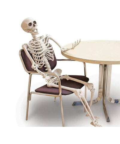 Image of Giant Life Size Skeleton 165cm Posable Full Decoration Party Halloween