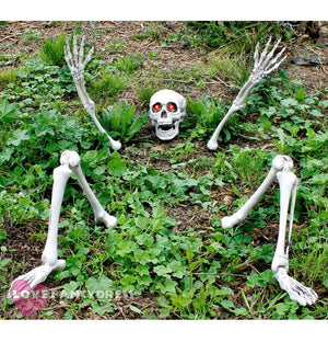 SKULL FLASHING EYES SKELETON COMING OUT OF GROUND 